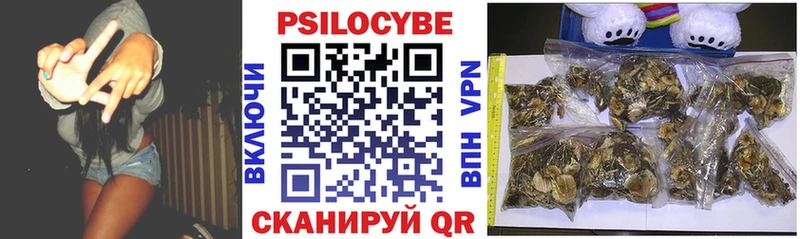 Псилоцибиновые грибы Cubensis  наркошоп  Юхнов 